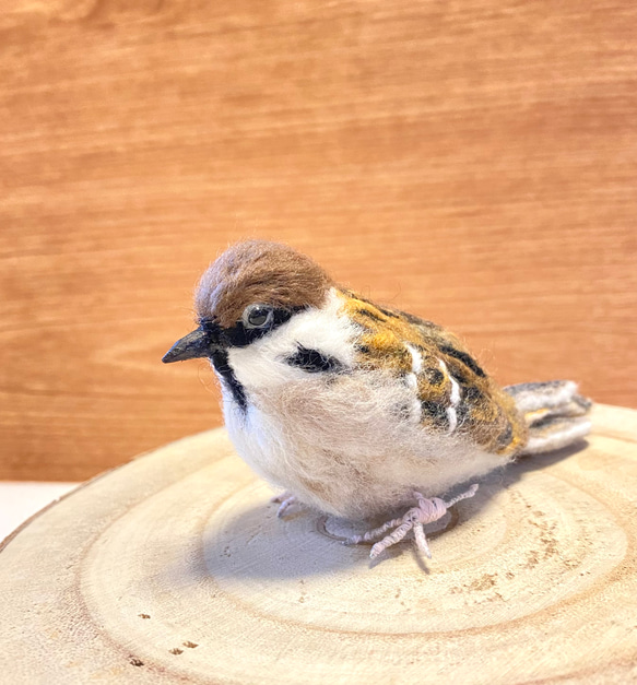 【スズメ】リアルスズメちゃん　/雀　すずめ　野鳥　鳥　小鳥　羊毛フェルト　チュン　インテリア雑貨　癒し　ぬいぐるみ 13枚目の画像