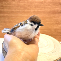 【スズメ】リアルスズメちゃん　/雀　すずめ　野鳥　鳥　小鳥　羊毛フェルト　チュン　インテリア雑貨　癒し　ぬいぐるみ 4枚目の画像