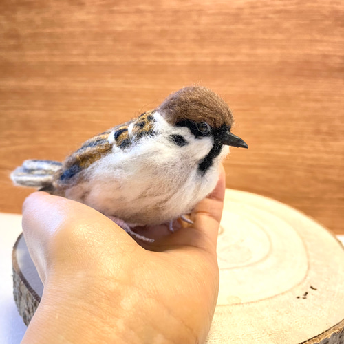 スズメ】リアルスズメちゃん /雀 すずめ 野鳥 鳥 小鳥 羊毛フェルト