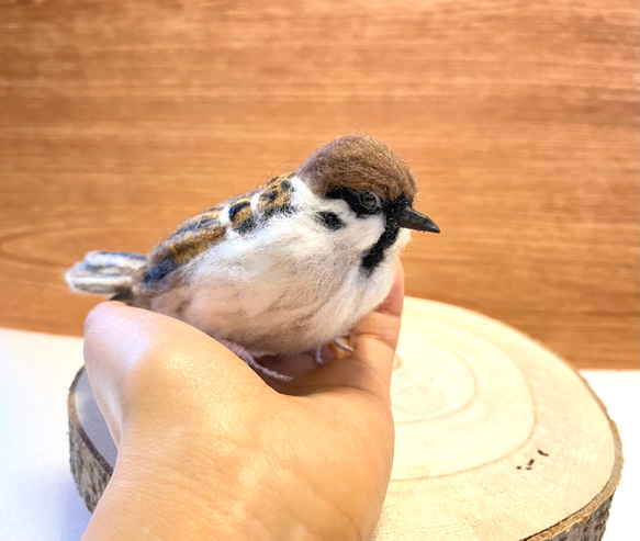 【スズメ】リアルスズメちゃん　/雀　すずめ　野鳥　鳥　小鳥　羊毛フェルト　チュン　インテリア雑貨　癒し　ぬいぐるみ 4枚目の画像