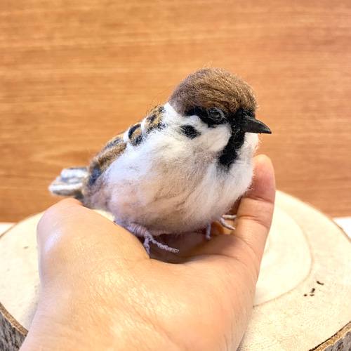 スズメ】リアルスズメちゃん /雀 すずめ 野鳥 鳥 小鳥 羊毛