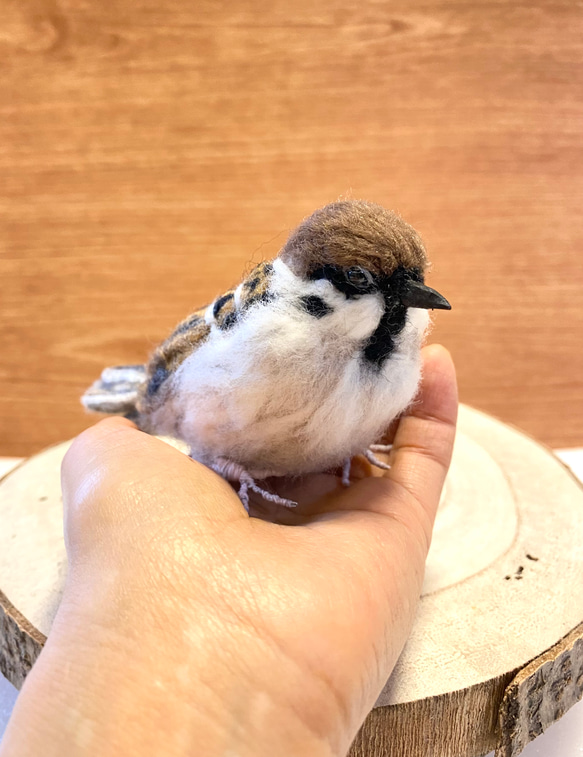 【スズメ】リアルスズメちゃん　/雀　すずめ　野鳥　鳥　小鳥　羊毛フェルト　チュン　インテリア雑貨　癒し　ぬいぐるみ 3枚目の画像