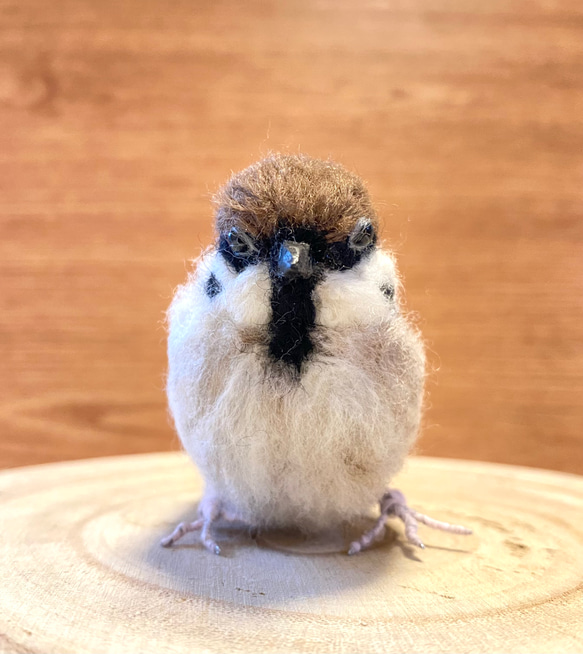 【スズメ】リアルスズメちゃん　/雀　すずめ　野鳥　鳥　小鳥　羊毛フェルト　チュン　インテリア雑貨　癒し　ぬいぐるみ 12枚目の画像