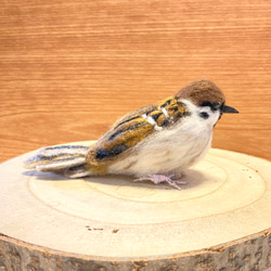 【スズメ】リアルスズメちゃん　/雀　すずめ　野鳥　鳥　小鳥　羊毛フェルト　チュン　インテリア雑貨　癒し　ぬいぐるみ 9枚目の画像