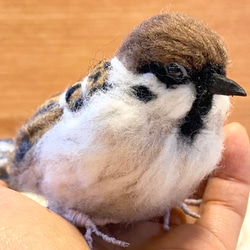 スズメ】リアルスズメちゃん /雀 すずめ 野鳥 鳥 小鳥 羊毛