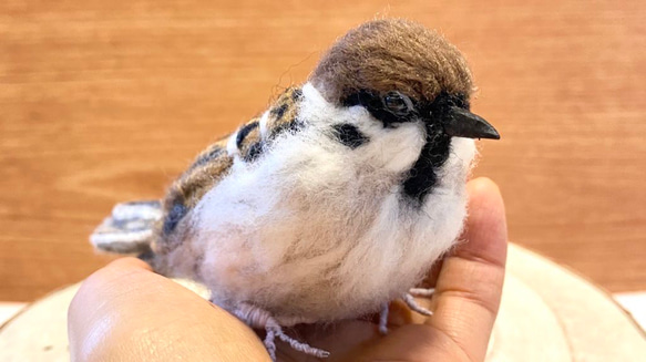 スズメ】リアルスズメちゃん /雀 すずめ 野鳥 鳥 小鳥 羊毛