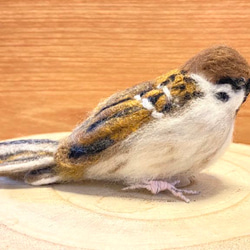 【スズメ】リアルスズメちゃん　/雀　すずめ　野鳥　鳥　小鳥　羊毛フェルト　チュン　インテリア雑貨　癒し　ぬいぐるみ 5枚目の画像