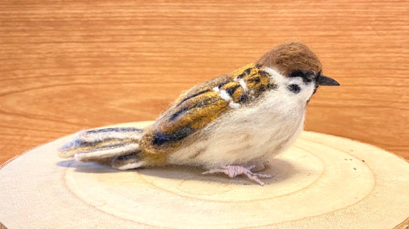 【スズメ】リアルスズメちゃん　/雀　すずめ　野鳥　鳥　小鳥　羊毛フェルト　チュン　インテリア雑貨　癒し　ぬいぐるみ 5枚目の画像