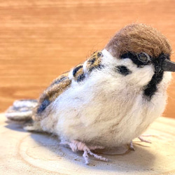 【スズメ】リアルスズメちゃん　/雀　すずめ　野鳥　鳥　小鳥　羊毛フェルト　チュン　インテリア雑貨　癒し　ぬいぐるみ 2枚目の画像