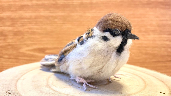 【スズメ】リアルスズメちゃん　/雀　すずめ　野鳥　鳥　小鳥　羊毛フェルト　チュン　インテリア雑貨　癒し　ぬいぐるみ 2枚目の画像