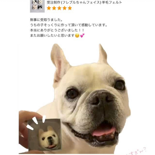 受注制作(フレブルフェイス)羊毛フェルト 羊毛フェルト アトリエ