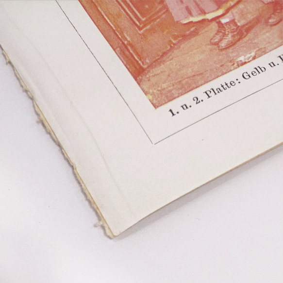 ヘルダー大百科事典より 三色印刷の解説 図版 ビンテージ 1956-2 9枚目の画像