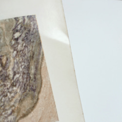 大理石の模様 イラスト 図版 ヘルダー大百科事典 ビンテージ 1956-13 6枚目の画像