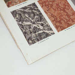 大理石の模様 イラスト 図版 ヘルダー大百科事典 ビンテージ 1956-13 7枚目の画像