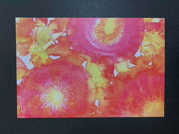 [送料無料]ポストカード10枚セット（花・抽象） 2枚目の画像