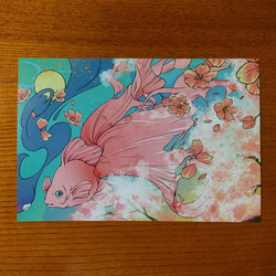 ポストカード～桜と金魚～ 2枚目の画像