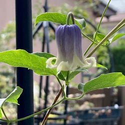 db71287e239b8f39567afc71ea01b1