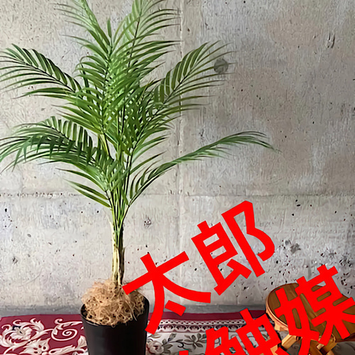 光触媒 人工観葉植物 ウォールグリーン フェイクグリーン