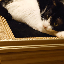 アンティーク調キャットベッド cat 猫　ネコ　猫ハウス　ねこベッド 4枚目の画像