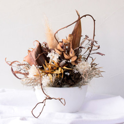 0e7957f5dc99cd1a67f2f23a9b9ed5