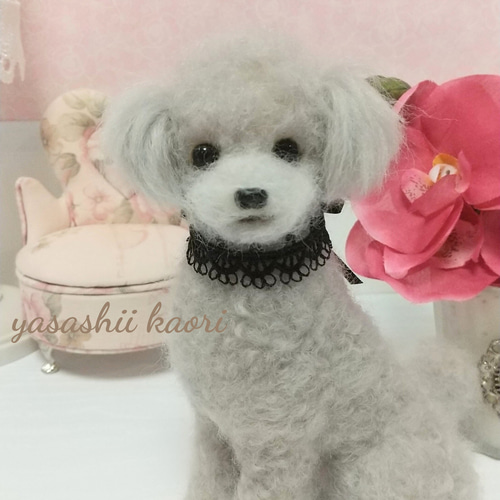 お迎え決まりました♥️トイプードル❤️羊毛フェルト