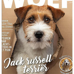 473bd22d584f1dcd63a4474a5f650d