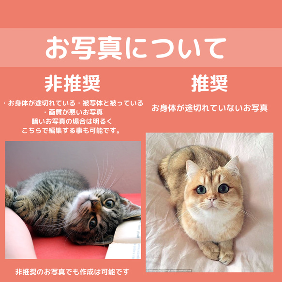 ペット　グッズ　オリジナル　写真　うちの子　スマホケース　オリジナルグッズ　猫　犬　記念日　贈り物　ペット用品　母の日 7枚目の画像