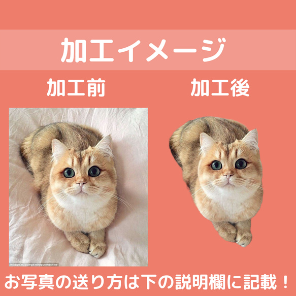 ペット　グッズ　オリジナル　写真　うちの子　スマホケース　オリジナルグッズ　猫　犬　記念日　贈り物　ペット用品　母の日 8枚目の画像