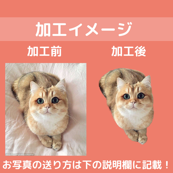 ペット　グッズ　オリジナル　写真　うちの子　スマホケース　iPhoneケース　猫　犬　手帳型　贈り物　ペット用品　母の日 8枚目の画像