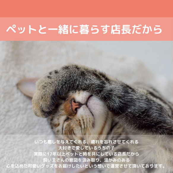 ペット　グッズ　オリジナル　写真　うちの子　スマホケース　iPhoneケース　猫　犬　手帳型　贈り物　ペット用品　母の日 14枚目の画像