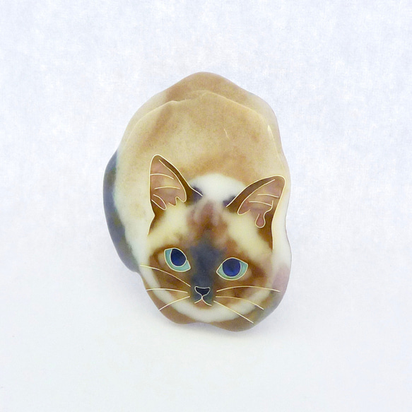 七宝焼きのピンブローチ＊香箱座りのシャム猫 2枚目の画像