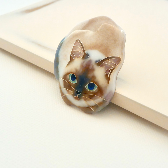 七宝焼きのピンブローチ＊香箱座りのシャム猫 6枚目の画像