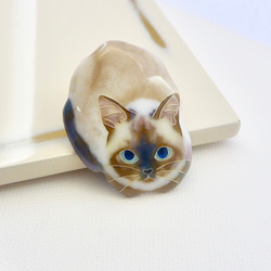 七宝焼きのピンブローチ＊香箱座りのシャム猫 5枚目の画像
