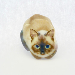 七宝焼きのピンブローチ＊香箱座りのシャム猫 4枚目の画像