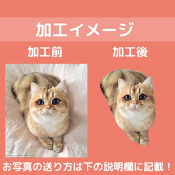 ペット　グッズ　オリジナル　写真　うちの子　猫　犬　ステンレスタンブラー贈り物　ペット用品　母の日　プレゼント　父の日 9枚目の画像