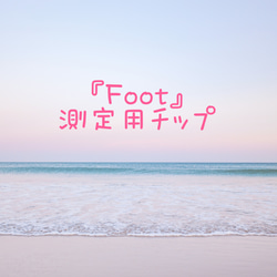 測定用チップ 『Foot用』 1枚目の画像