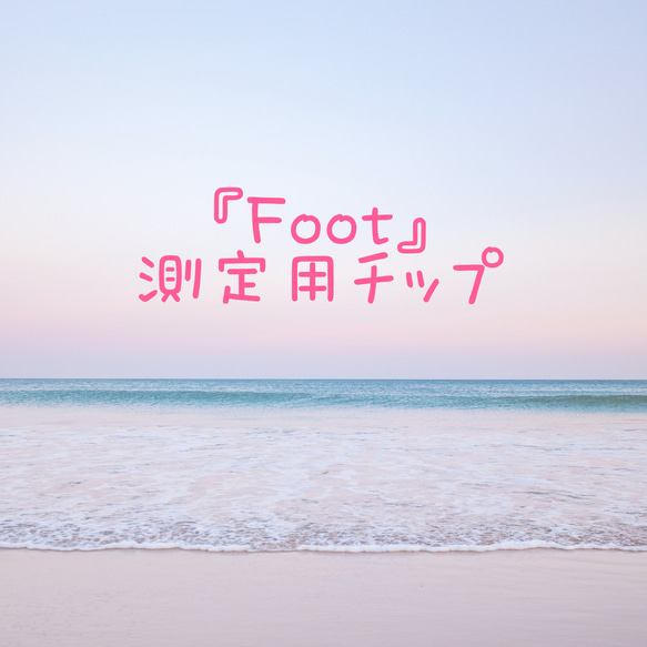 測定用チップ 『Foot用』 1枚目の画像