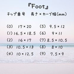 測定用チップ 『Foot用』 2枚目の画像