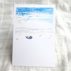 選べるポストカード３枚セット　NO.８オカヤドカリビーチ（暑中見舞い残暑見舞いメッセージカードなどとして） 2枚目の画像