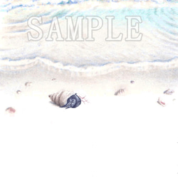 選べるポストカード３枚セット　NO.８オカヤドカリビーチ（暑中見舞い残暑見舞いメッセージカードなどとして） 3枚目の画像