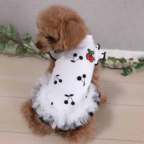 犬服 裾フリル＊Cherryタンクトップ ペット服・アクセサリー ＊eight