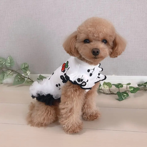 犬服 裾フリル＊Cherryタンクトップ ペット服・アクセサリー ＊eight