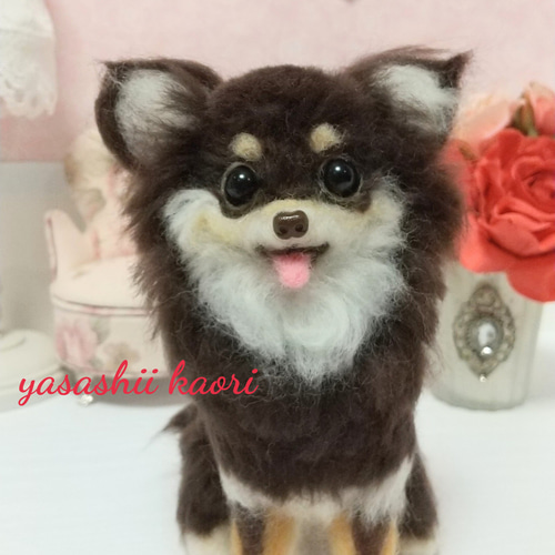 作家 チョコタン チワワ 犬 ぬいぐるみ テディベア b52fa36eed3fdab8b1613dc7b50272