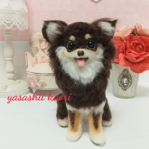 羊毛フェルト ロングコートチワワ チョコタン チワワぬいぐるみ