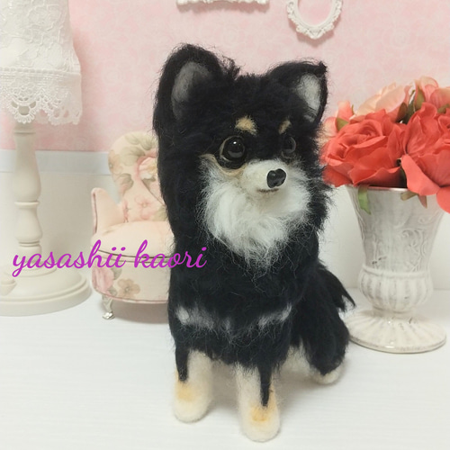 羊毛フェルト ロングコートチワワ ブラックタン チワワ