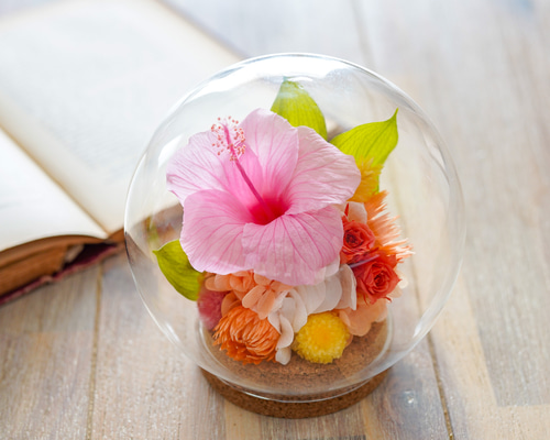 a051f3ef63c55486e4e1be8d83690b