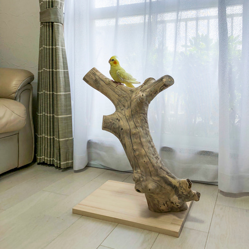 止まり木(大型オウム&インコ用) 止まり木 インコ 鳥用パーチ 止まり木スタンド オウム 鳥