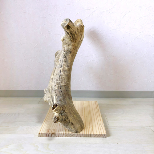 流木止まり木】ど迫力の大型止まり木 ヨウム、オウム 、フクロウ