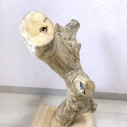 流木止まり木】ど迫力の大型止まり木 ヨウム、オウム 、フクロウ、大型