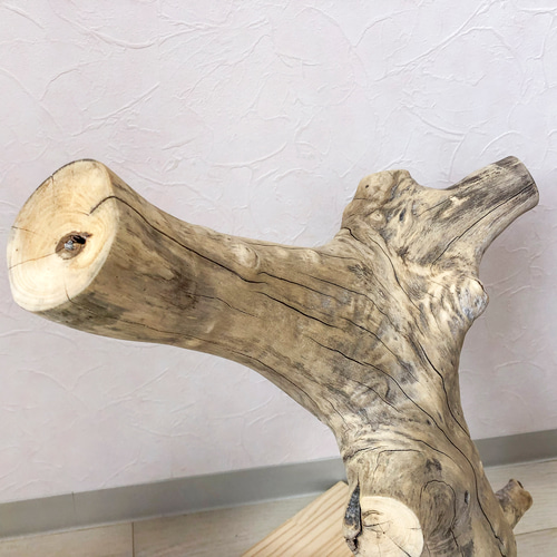 流木止まり木】ど迫力の大型止まり木 ヨウム、オウム 、フクロウ、大型